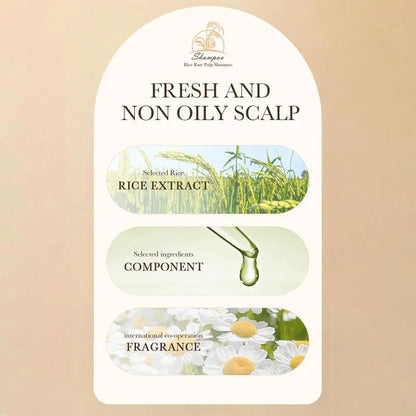 Rice Water Shampoo Volumizing Hair Shampoo For Hair Wash Brittle And Dry Hair Moisturizer For Dry Oily Hair For Travel Spa